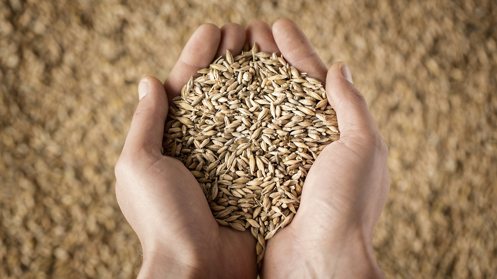 proaktiva-1_0000s_0006_44296300_l